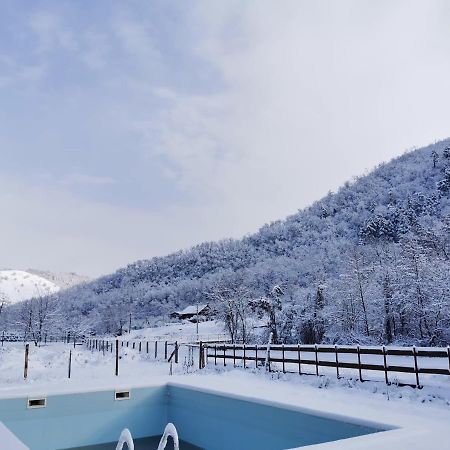 Pensiunea La Nenea Iancu Pianu de Sus Dış mekan fotoğraf