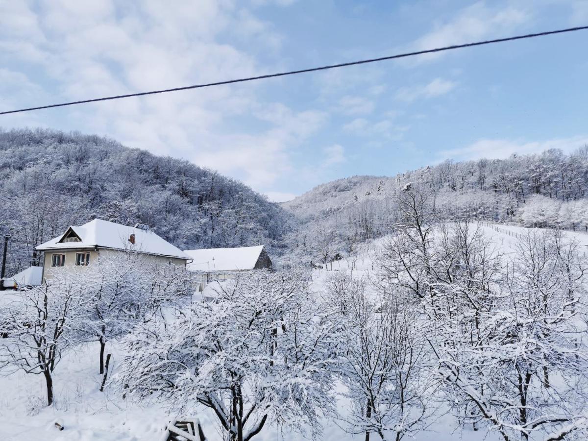Pensiunea La Nenea Iancu Pianu de Sus Dış mekan fotoğraf