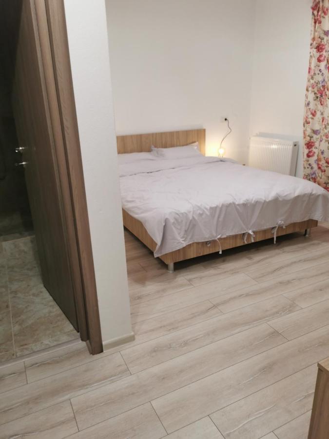Pensiunea La Nenea Iancu Pianu de Sus Dış mekan fotoğraf