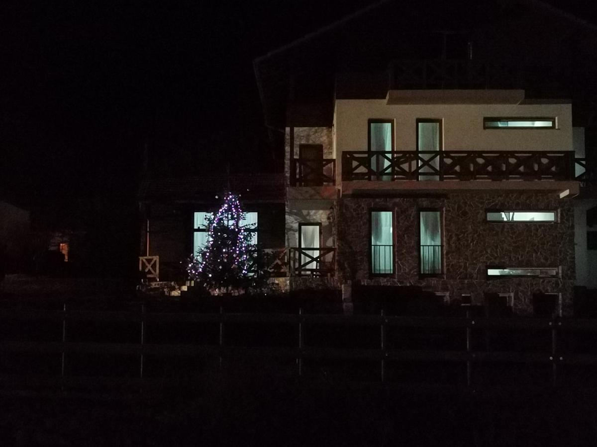 Pensiunea La Nenea Iancu Pianu de Sus Dış mekan fotoğraf