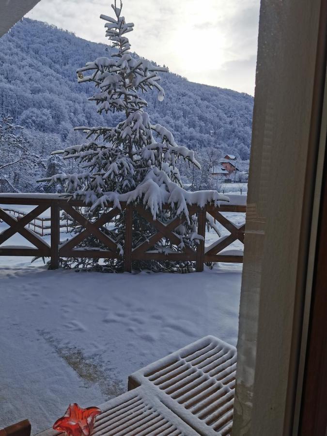Pensiunea La Nenea Iancu Pianu de Sus Dış mekan fotoğraf