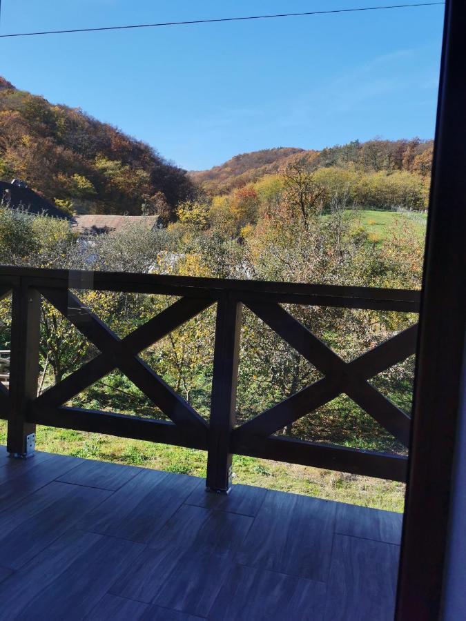Pensiunea La Nenea Iancu Pianu de Sus Dış mekan fotoğraf
